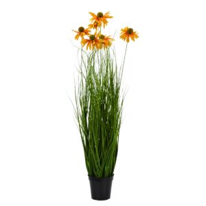 Chrysanth Onion Grass - 6 Head - Potted - Green, yellow, 100 cm