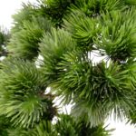 Artificial Bonsai Tree Pine Foliage Detailed shot Twisted Trunk