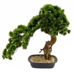 Artificial Bonsai Tree Pine Foliage Detailed shot Twisted Trunk