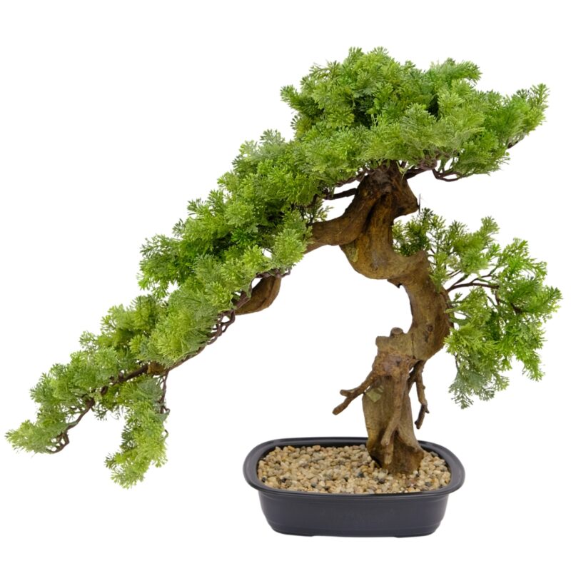Artificial Cypress Bonsai Tree - Textured Driftwood-Style Trunk In Black Pebble Pot - Green, 68 cm