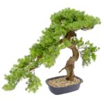 Artificial Cypress Bonsai Tree Textured Trunk In Black Pot Pebbles 68 cm Detailed images cypress leaves