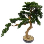 Artificial Japanese Cedar Bonsai Tree Black porcelain pot Pebbels detailed shot Pine Leaves