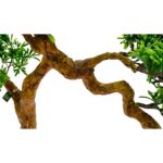 Artificial Podocarpus Bonsai Tree Twisted Trunk Black Pot Detailed shot