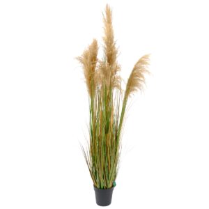 Artificial Pampas Reed Grass - Potted - UV-Resistant - 170cm