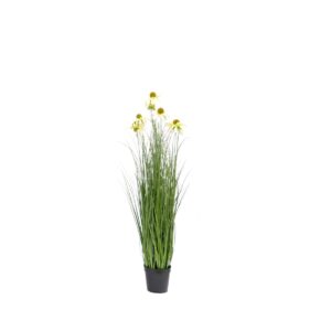 Chrysanth Onion Grass - 6 Head - Potted - Green, White, 100 cm UV-Resistand