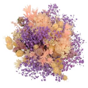 Dried Flower Bouquet Pink And Purple - Large