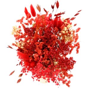 Dried Flower Bouquet Deep Red- Large
