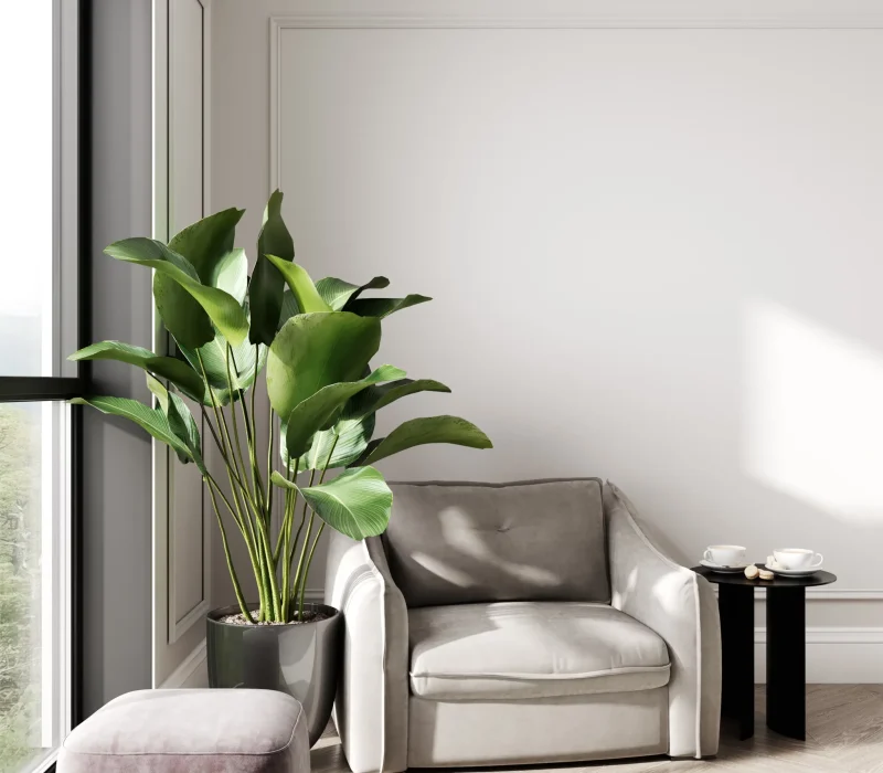 Florarix-Home-Design-Artificial-Plants-scaled.webp Florarix-Home-Design-Artificial-Plants-scaled.webp